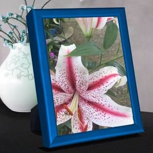 Meet your Posher, Lee